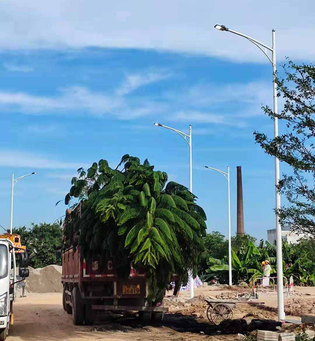 开云手机入口-开云(中国)助力东莞洪梅万科星城道路亮化工程